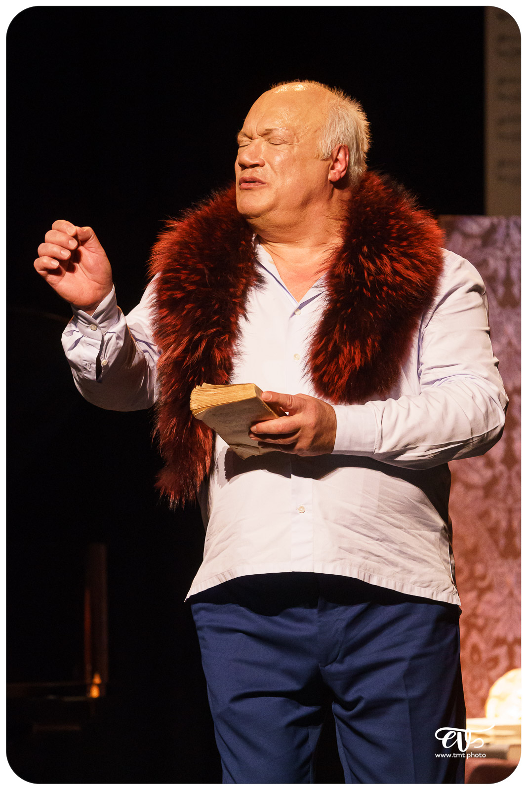 MADAME PYLINSKA ET LE SECRET DE CHOPIN (ERIC-EMMANUEL SCHMITT)